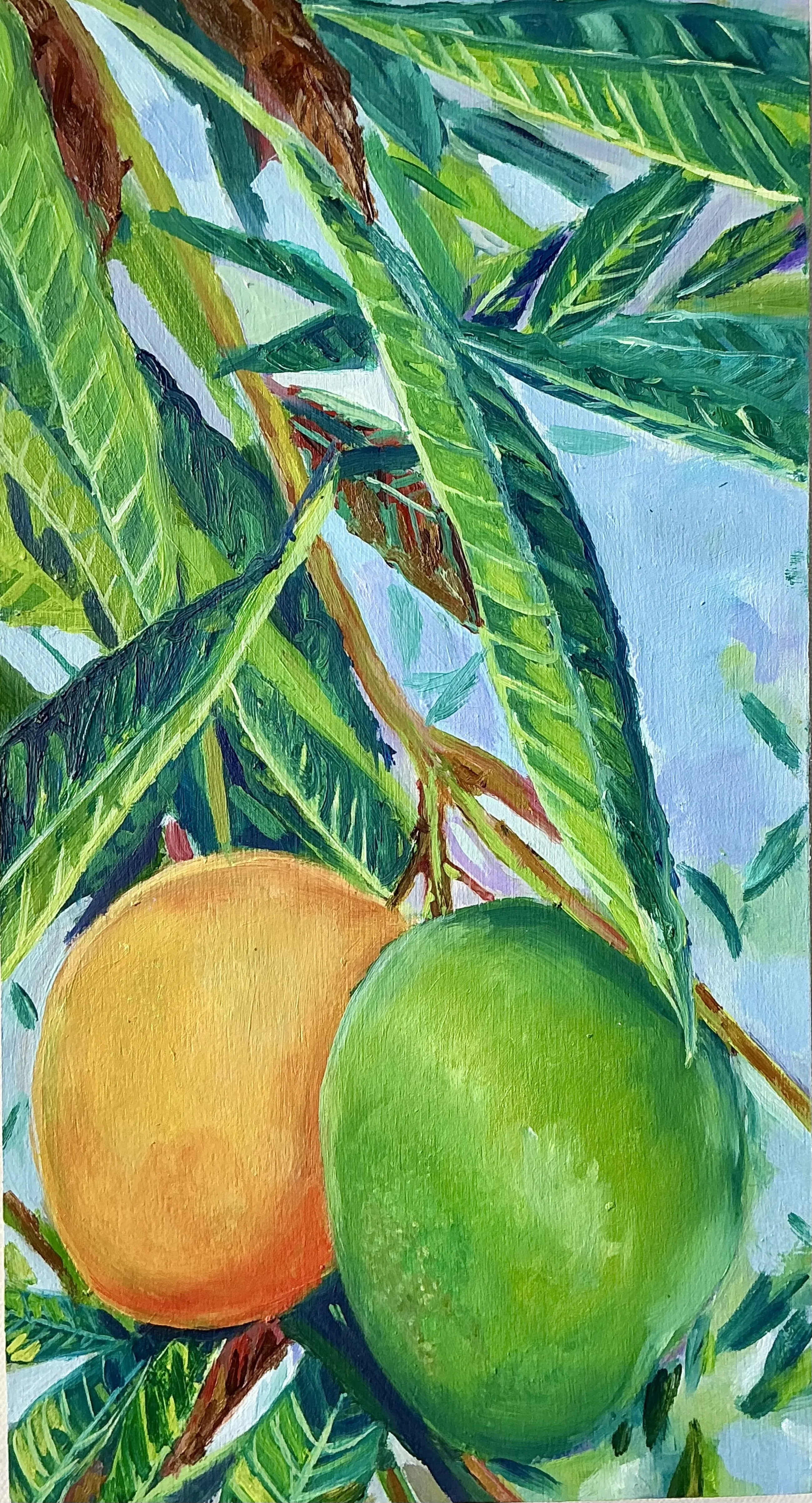 Graham Mangoes — photo 1
