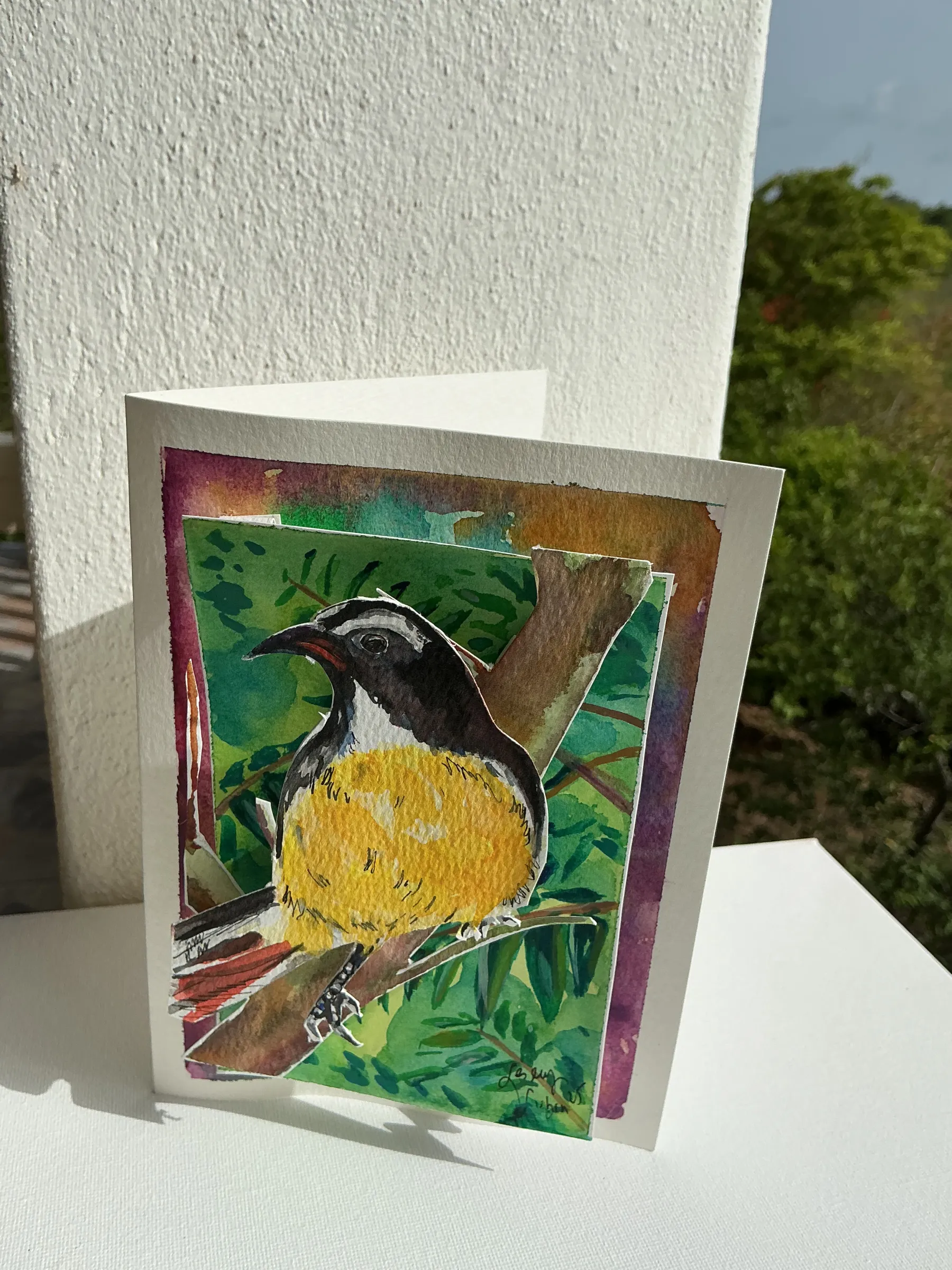 Island Flora & Fauna
