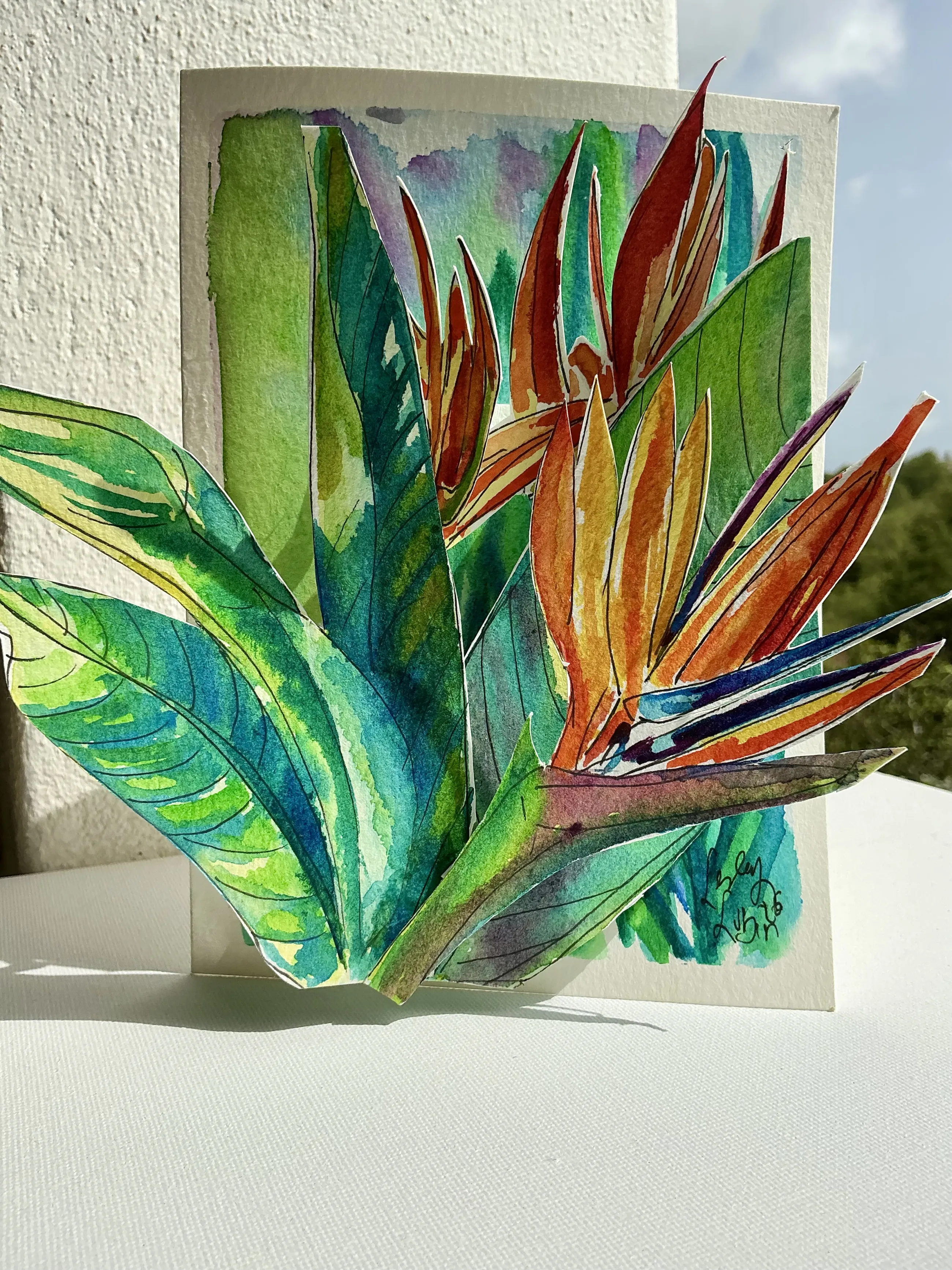 Bird of Paradise — photo 1