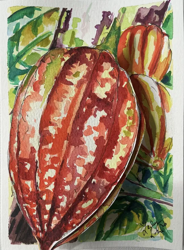 Cocoa Pod