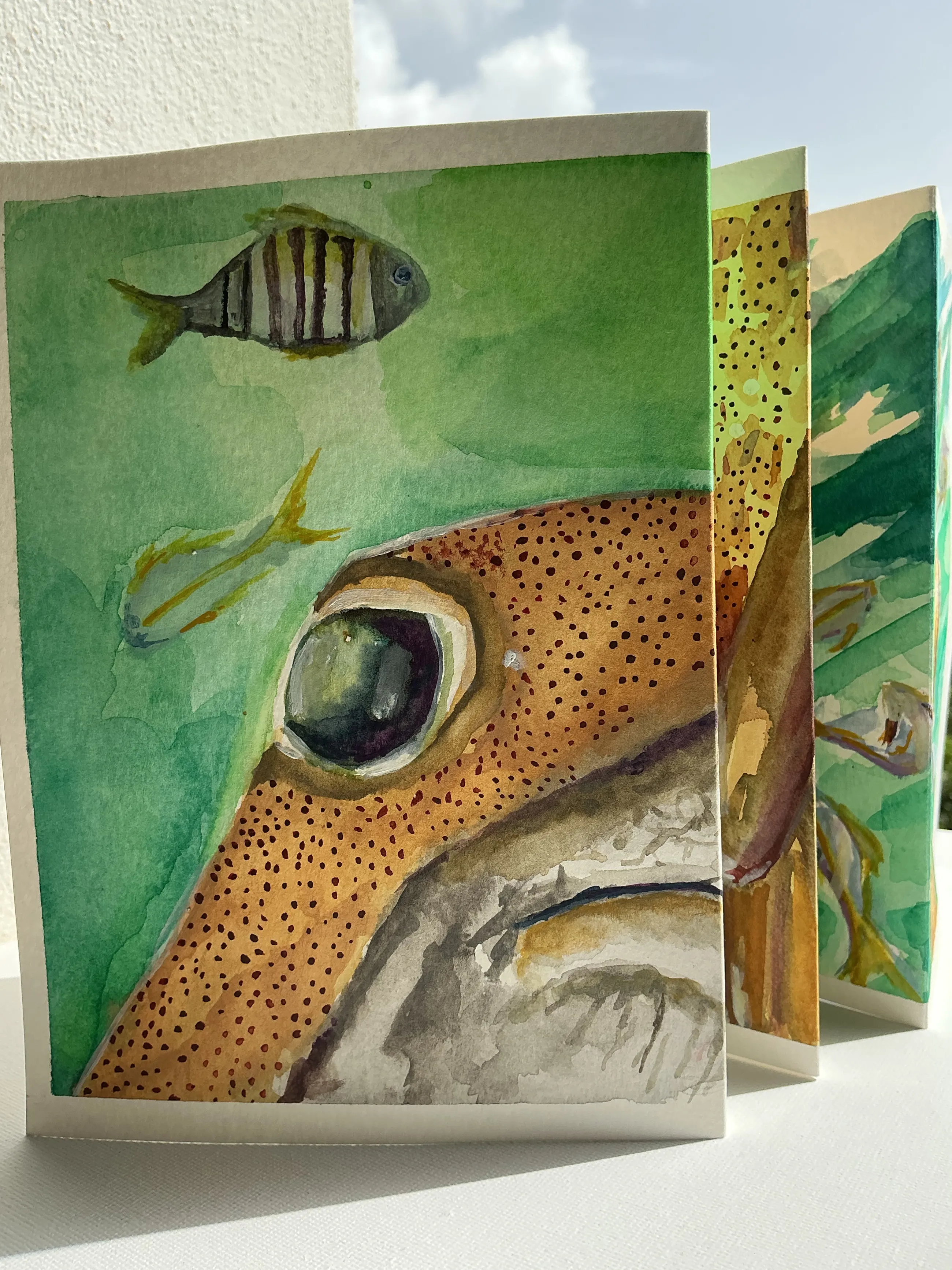Pufferfish — photo 2